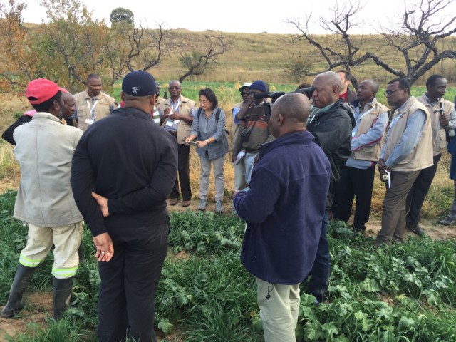 The increase in addition to rise of garden administration