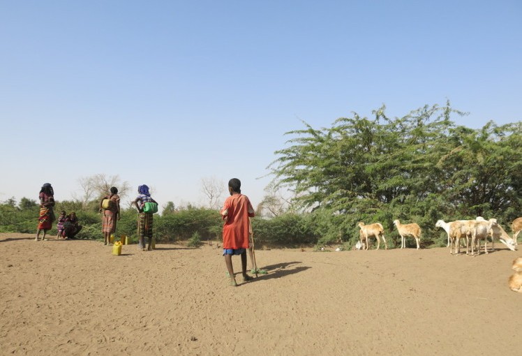 Sessions coming from semi-arid regions on how you may change to climate modification