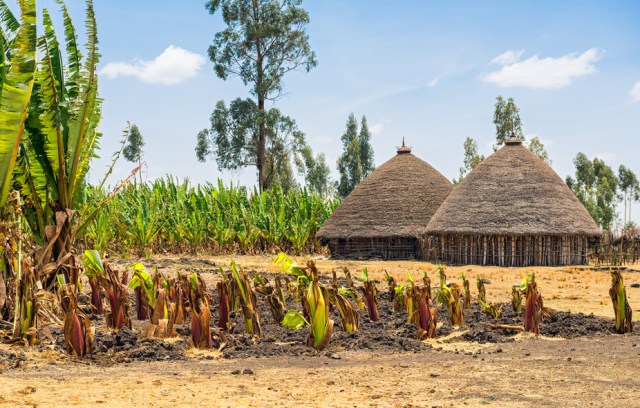 Done properly, cultivating growth may lessen challenge in Africa