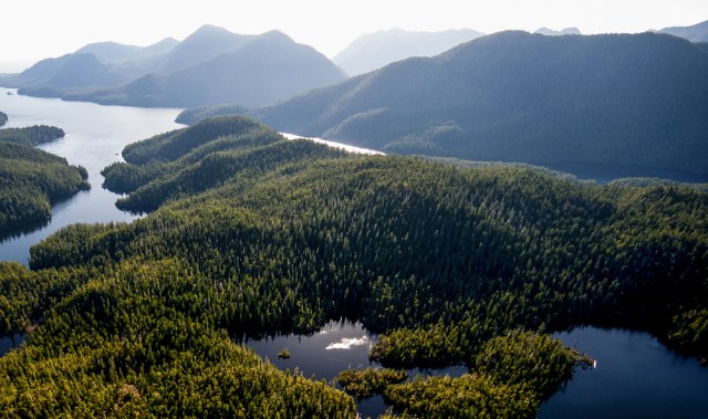 After Paris– Nature’s function in mission 1.5 degree