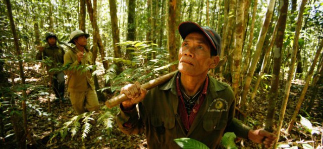 Spending for rainfall woodlands: current PLoS analysis study on the monetary evaluation of ecological community services