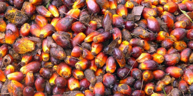 Just what will it have to make enduring hand oil the norm?