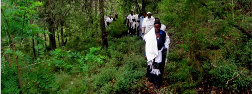 UN-REDD System research study highlights significant economic payment from forests to Ethiopia’s Gdp