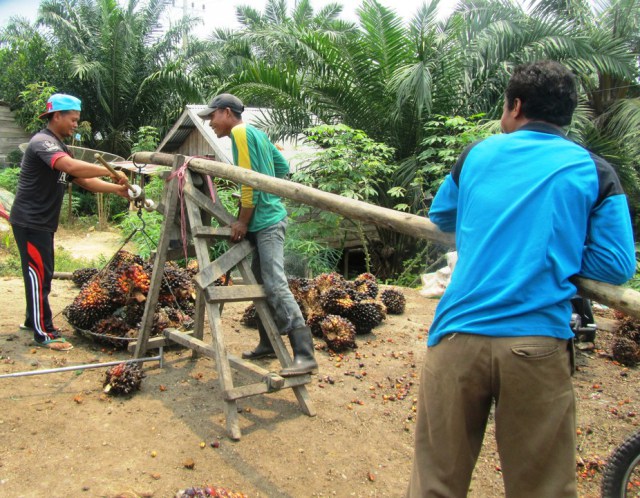 Hand oil national politics hamper durability in Southeast Asia