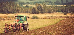 The Consolidating Meals Sector: Bayer AG (BAYRY) along with Monsanto Provider (MON).